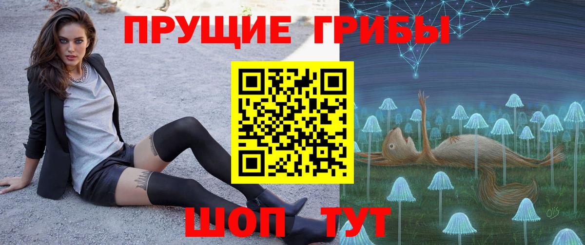 Галлюциногенные грибы GOLDEN TEACHER Приморско-Ахтарск