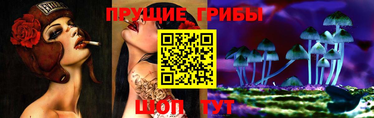 Галлюциногенные грибы ЛСД  Галлюциногенные грибы мицелий  Вход с VPN  Приморско-Ахтарск 